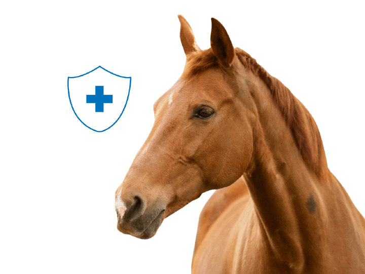 anwendungsbereich immunsystem neues icon